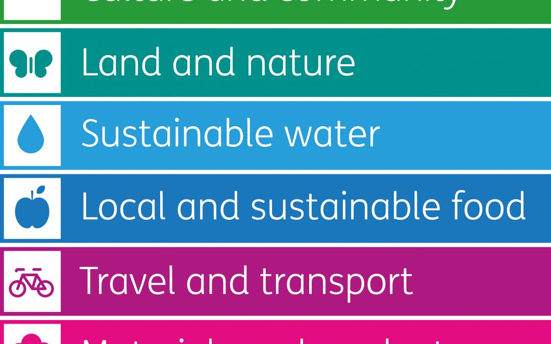 We Need to Use a Different Part of our Brain to Crack the Sustainability Challenge. Blog by Pooran Desai.